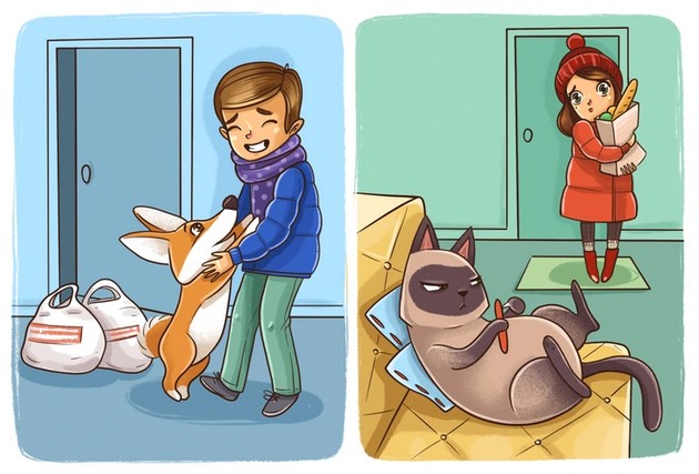 cats vs dogs